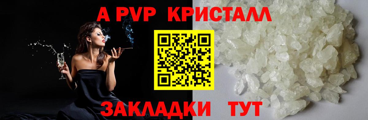 Alfa_PVP СК Тамбов