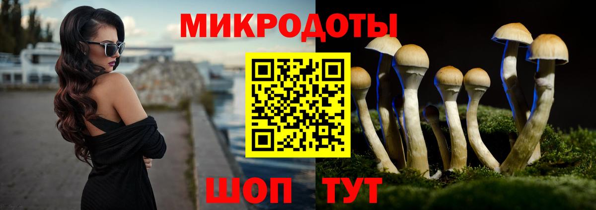 Псилоцибиновые грибы мухоморы Тамбов
